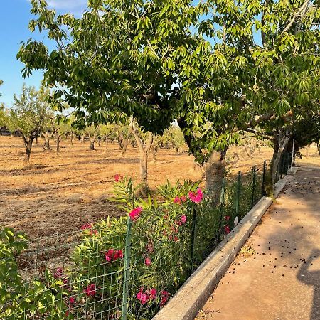 Trulli Ulivi Villa Putignano Kültér fotó