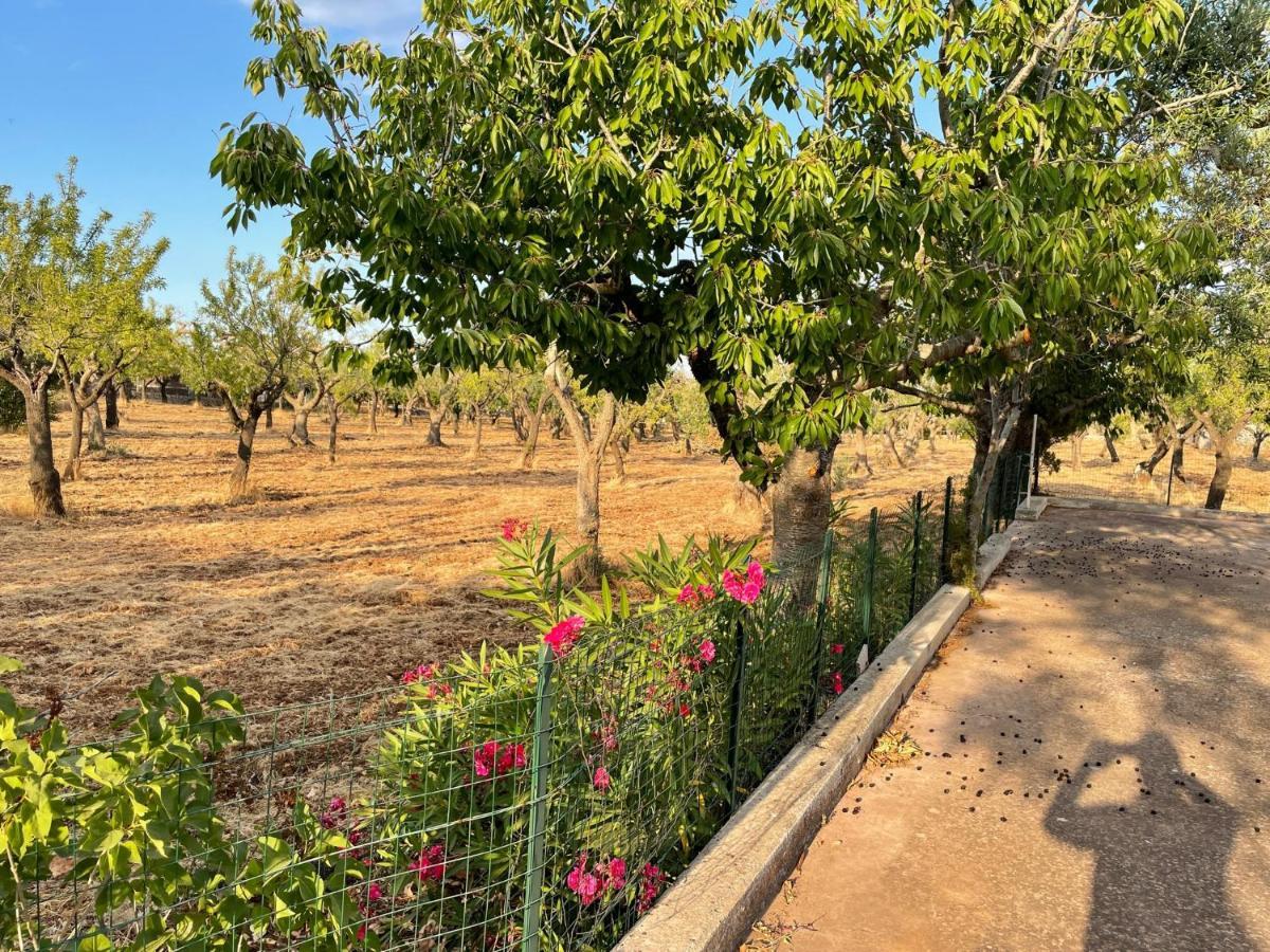 Trulli Ulivi Villa Putignano Kültér fotó