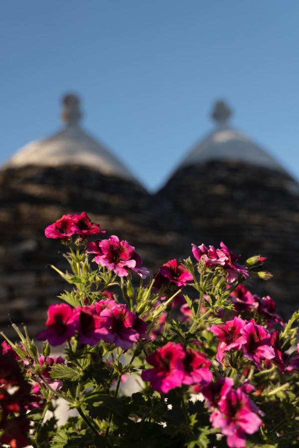 Trulli Ulivi Villa Putignano Kültér fotó